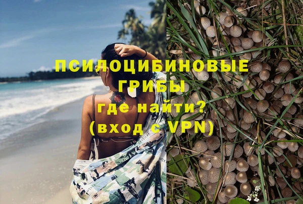 скорость Осинники