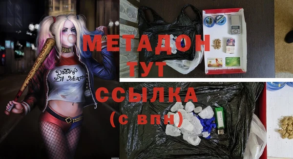 мет Алексин