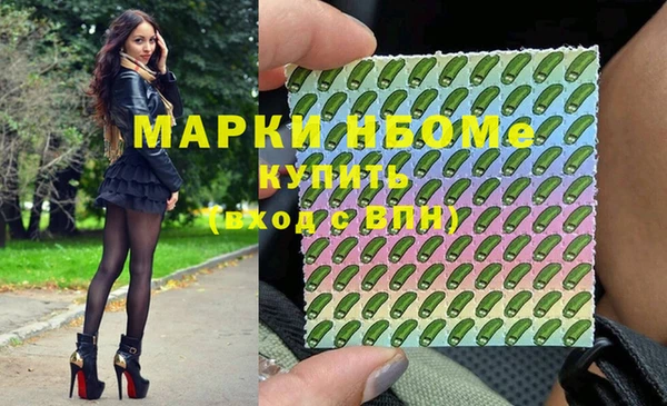 мет Алексин