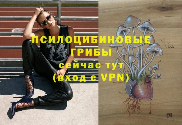 Альфа ПВП Осташков