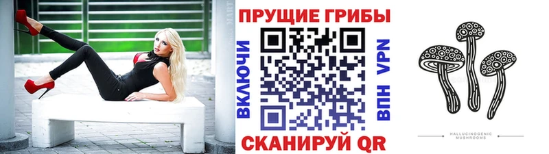 наркотики  Томмот  Псилоцибиновые грибы MAGIC MUSHROOMS 
